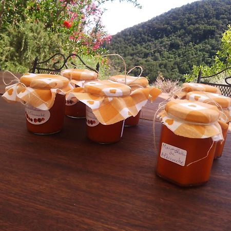 Poggio Del Sole Acomodação com café da manhã Bassano del Grappa Exterior foto