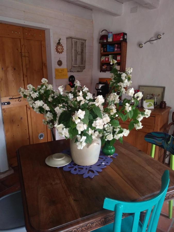 Poggio Del Sole Acomodação com café da manhã Bassano del Grappa Exterior foto