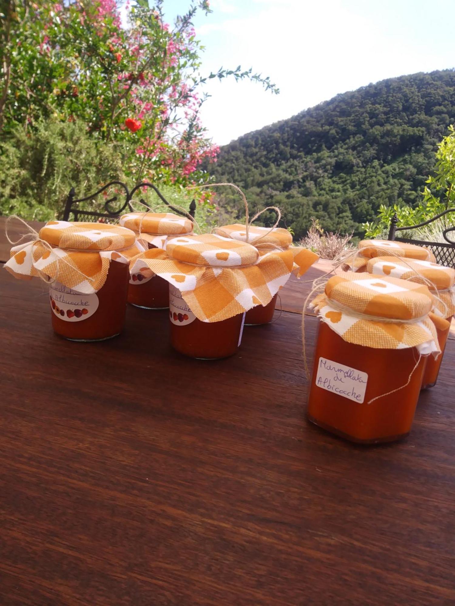 Poggio Del Sole Acomodação com café da manhã Bassano del Grappa Exterior foto